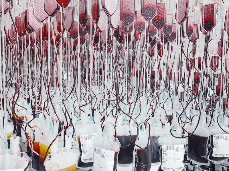 Illustration for article titled Inside the Blood Factory That Keeps Track of the World's Rare Donors